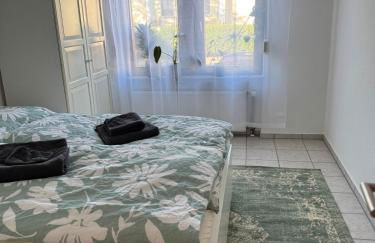 Helles APT Wiesbaden Mainz FFM 2 Schlafzimmer - Foto 9