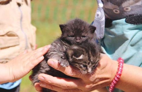 Wunderwelt Betzenstein familiär-ländlich-modern - Foto 22