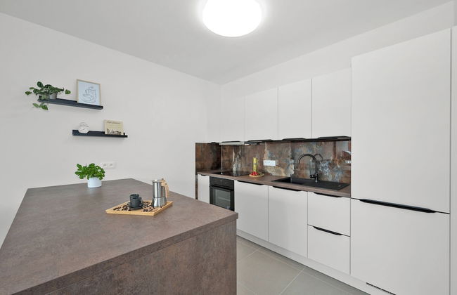 Fully equipped apartments with Terraces, Free garage parking, Netflix & AC - by Apartmány Šlapanice cz - Foto 21