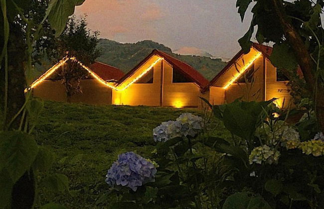 Kamelya Dag Evleri - Foto 11