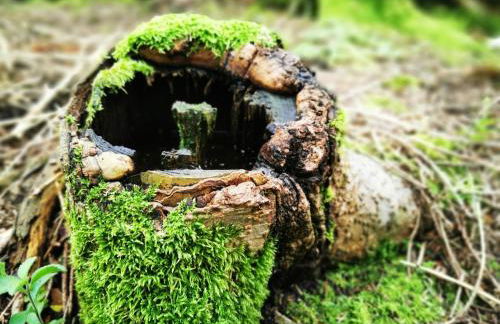 Miuti Residence - Foto 52