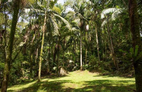 Canto da cascata - Foto 47