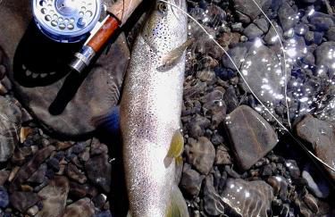 Casa Rural Estarrún - Photo 68