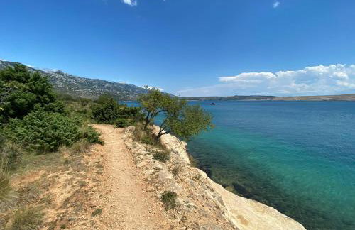 Apartment Mia - Photo 30