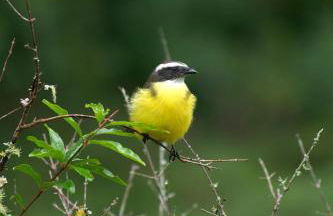 Casa do Aconchego - Foto 37