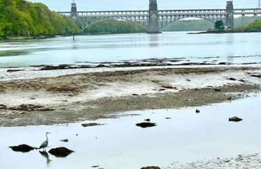 Cosy one bed cottage in Anglesey - Foto 25