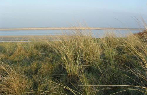 Gite Le Patelot - Foto 26