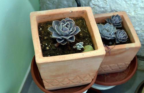 Apartment Ljubica Dubrovnik Center - Foto 56