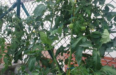 Casa vacacional Mirador de San Vicente - Foto 32