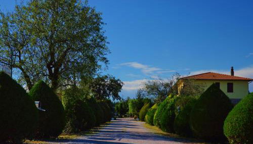 Agriturismo Il Cuscino Nel Pagliaio - Foto 5, Garden