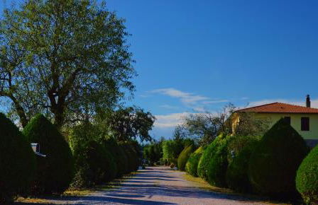 Agriturismo Il Cuscino Nel Pagliaio - Foto 5