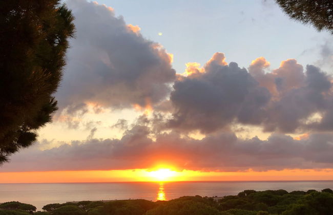 "Melis II M8 Playa de Pals" - Foto 21