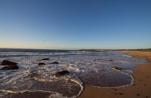 Cosy 2-BDR Apartment & 15 minutes to Edinburgh by train & Free Parking - Foto 38