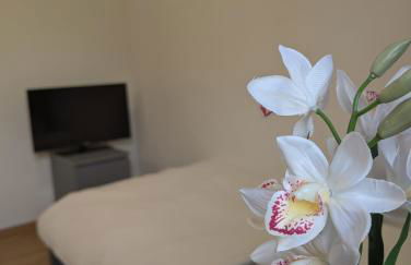 Gartenoase - Foto 15