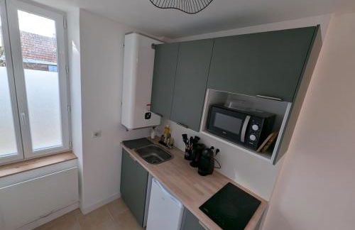 Le joli petit Bannier T2 Neuf , Fibre - Foto 10