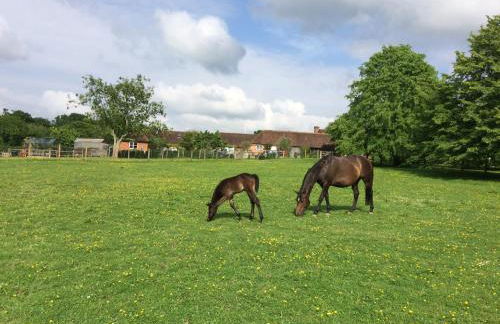 Starvegoose Cottage - Foto 7