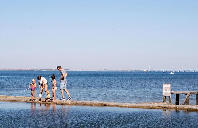 Holiday Home in Colijnsplaat - Photo 31