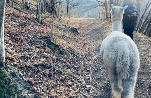 Maison Amiata - Foto 37