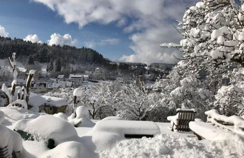 1Zi Ferienwohnung bis zu 3 Personen für Dienstreisende in Loßburg Schwarzwald - Foto 11