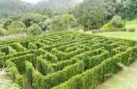 Tour panorámico por Campos do Jordão + Parque Amantikir - Foto 9