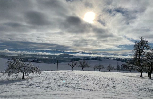 Appealing Apartment Near Lake - Foto 8