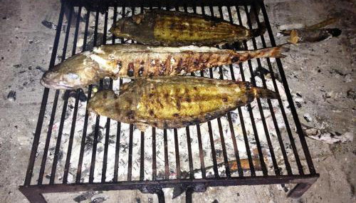 House Mladen - Photo 5