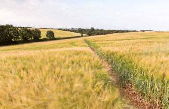 Greystones Lodge - Foto 34