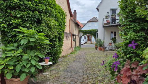 Wengertshaus - Foto 5