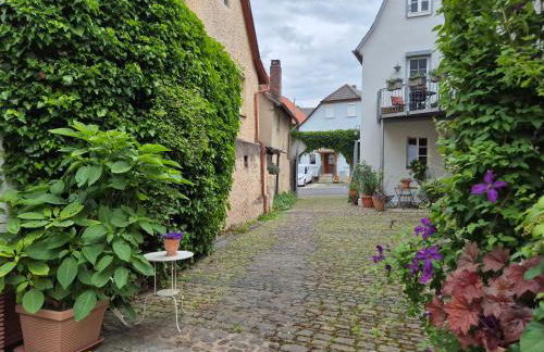 Wengertshaus - Foto 5