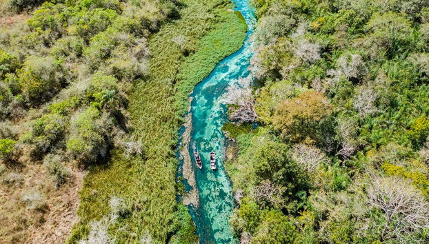 Rio Sucuri Snorkelling Experience - Foto 4