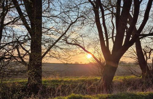 Secluded 16th Century Farmhouse with private grounds - Foto 29