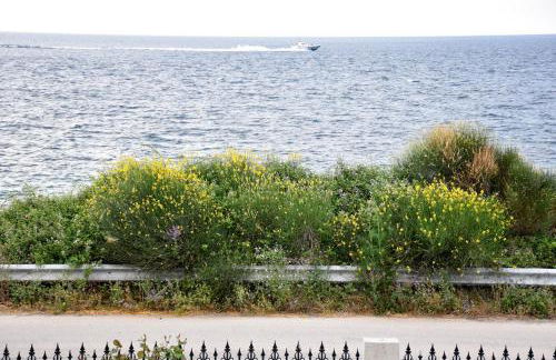 Salt and petals - Foto 26