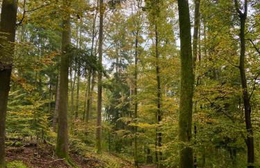 Superbe maison avec jardin - Foto 38