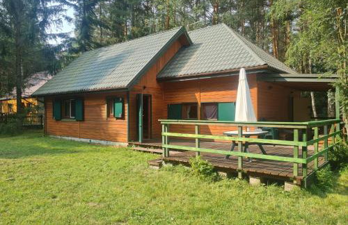 Między Sosnami - Foto 37