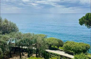 Giardino in villa Margherita - Foto 3