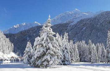 Casa Michela Trilocale Mansardato - Foto 28