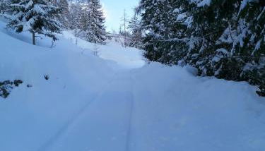 Pila vacanze - Foto 5