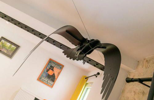 Le Corbeau et le Homard, un vrai havre de paix - Foto 13