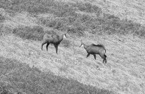 Apt les luges pour 4 à 6 pers vue vallée wifi - Photo 36