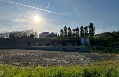 Agriturismo Ca' Belluccio - Foto 11