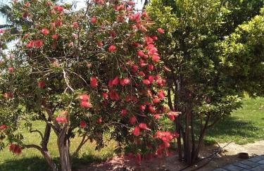 Villa Serenity a luxury relaxing retreat with swimming pool in Kymi Euboea - Foto 137