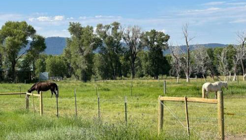 3 King Beds Spacious 4 BR 3 BATH AC Near Jackson - Foto 2
