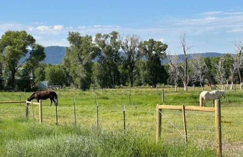 3 King Beds Spacious 4 BR 3 BATH AC Near Jackson - Foto 6