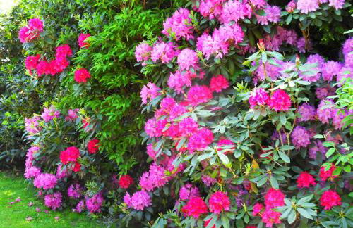 Ferienhaus von Bargen - Foto 22