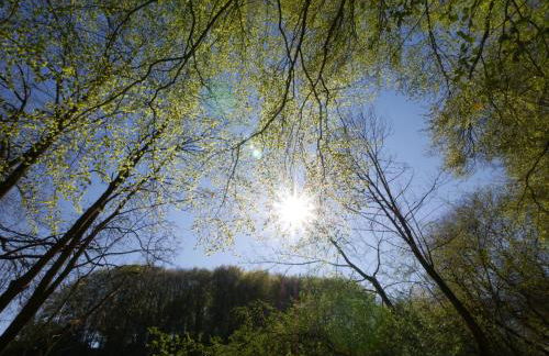 Waldläufer Brilon - Foto 66