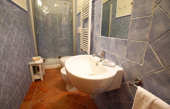 Gatto Bianco Tizzauli - Foto 38