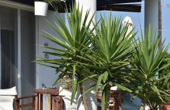 Sunset Beach House Possidi - Foto 23