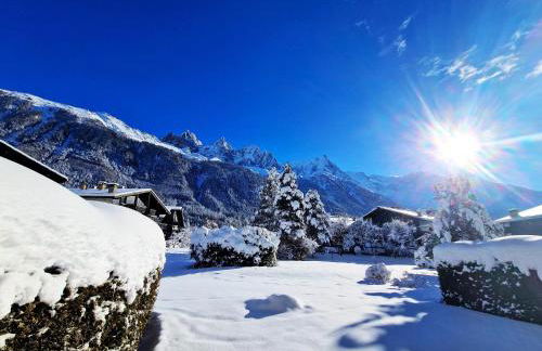 Chamonix Appartement Vue Mont Blanc avec jardin - Foto 9