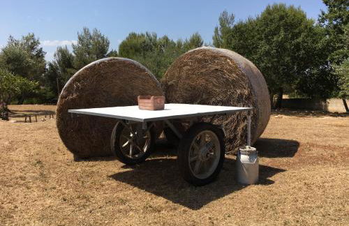 Grano Arso Appartamento Turistico - Foto 65