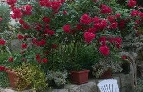 Apartments Anica - Foto 18